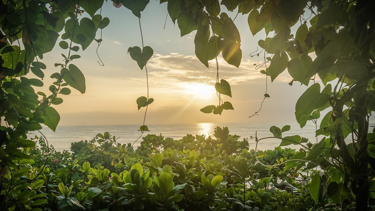 Bay Vista Hotel Arugam Bay Cameră foto
